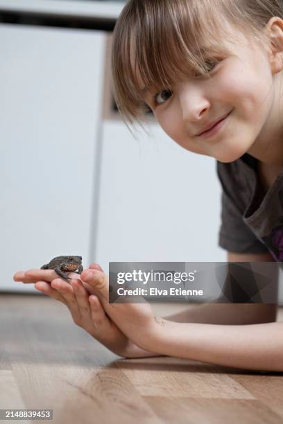 smiling child lying on a laminate floor indoors and holding a pet common toad in her hands. - alpha female stock pictures, royalty-free photos & images