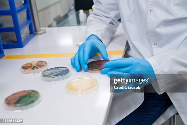 Lab Test Inspection 54,831 Lab Inspection Stock Photos, High-Res Pictures, and Images ...