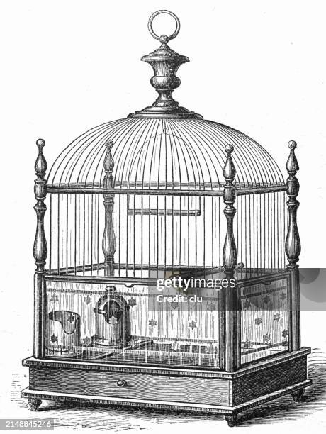 bird cage for canary birds - birdcage stock illustrations