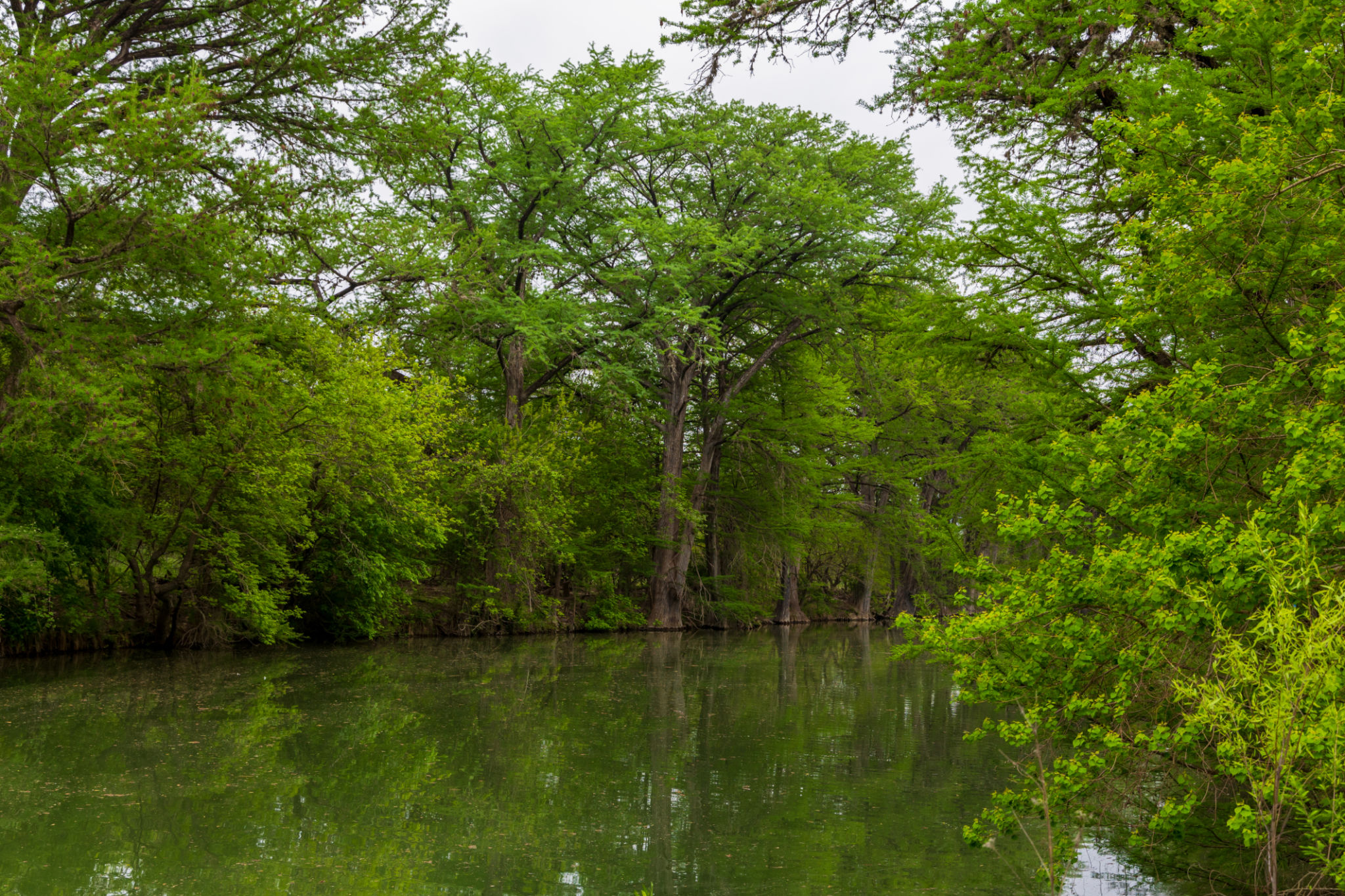 texas city life