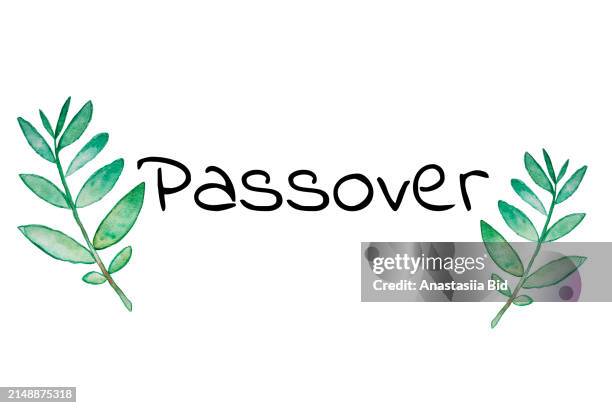 two hand drawing olive branches with word passover.concept of celebrating pessah. - kosher symbol clip art stock pictures, royalty-free photos & images