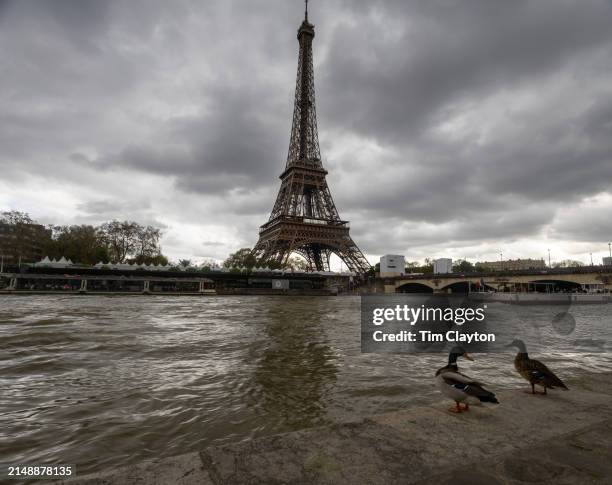 The River Seine runs past the Eiffel Tower in Paris, France. The river is planned to be used for events in the Paris Olympic Games 2024, including...