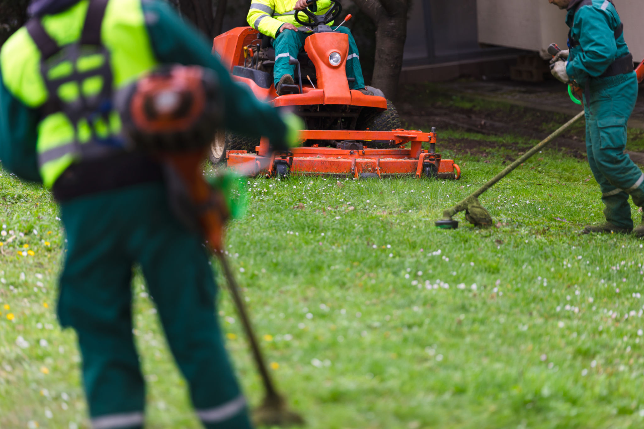 lawn care team