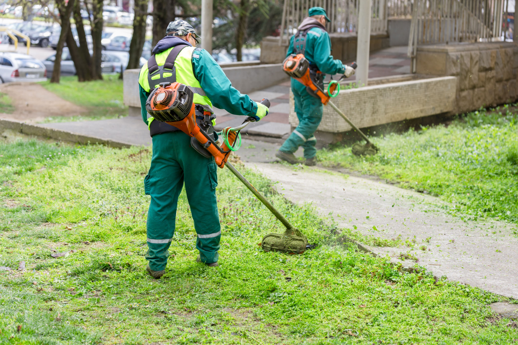 local lawn care