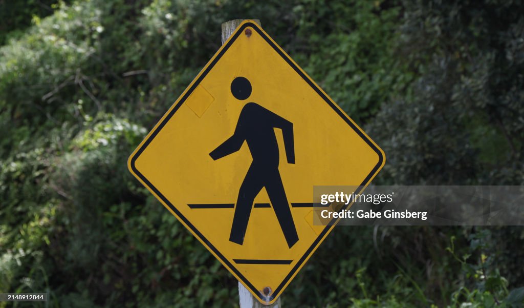 A Pedestrian Crossing Sign