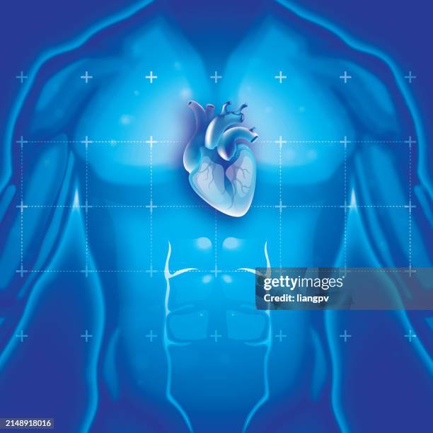 ilustrações de stock, clip art, desenhos animados e ícones de human heart - válvula atrioventricular