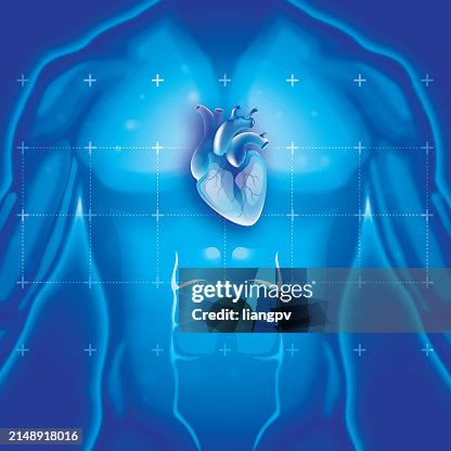 Human Heart Human Heart