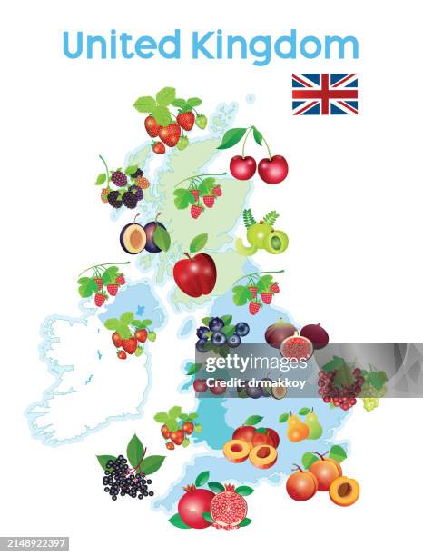 united kingdom fruits map - jackfruit stock illustrations