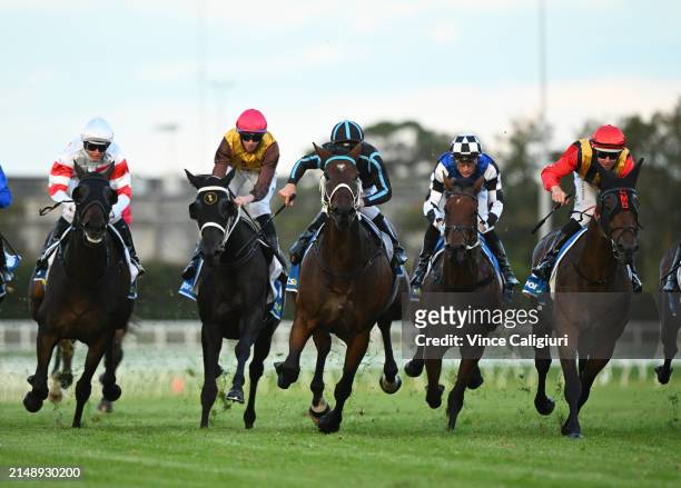 Damian Lane riding Tolpuddle winning Race 8, the Sportsbet Same Race Multi Handicap during Melbourne Racing at Caulfield Heath Racecourse on April...
