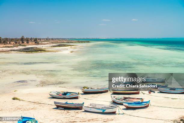 the island of djerba in tunisia - jerba island bildbanksfoton och bilder