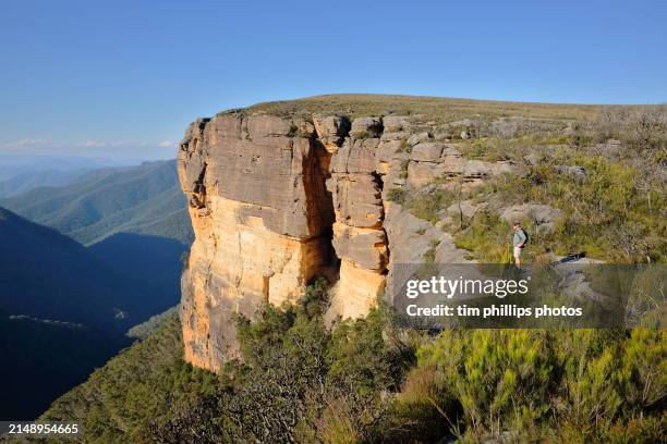 one person overlooking the kanangra walls in the blue mountains national park - escarpment stock pictures, royalty-free photos & images