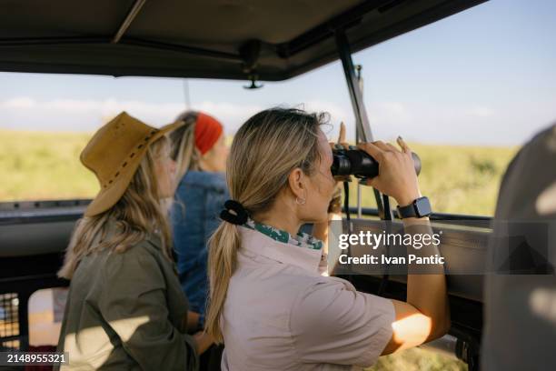 female tourist exploring the wilderness though binoculars from a jeep. - wildobservatie stockfoto's en -beelden