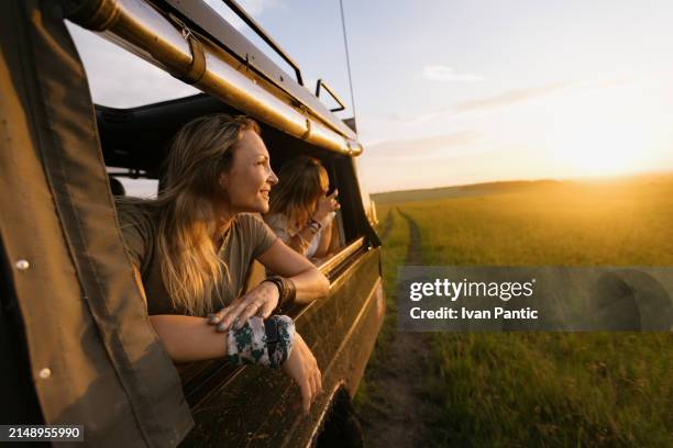 game drive at sunset! - safari stockfoto's en -beelden