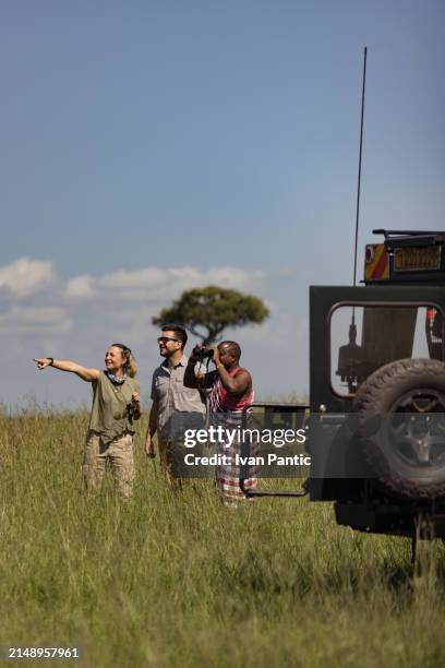 schauen sie sich diese wilden tiere an! - masai mara reservat stock-fotos und bilder