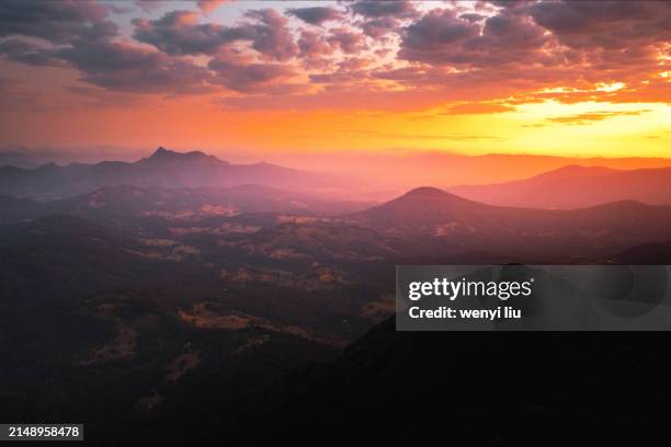 Spring In Qld 188 Spring Mountain Queensland Stock Photos, High-Res Pictures, and ...