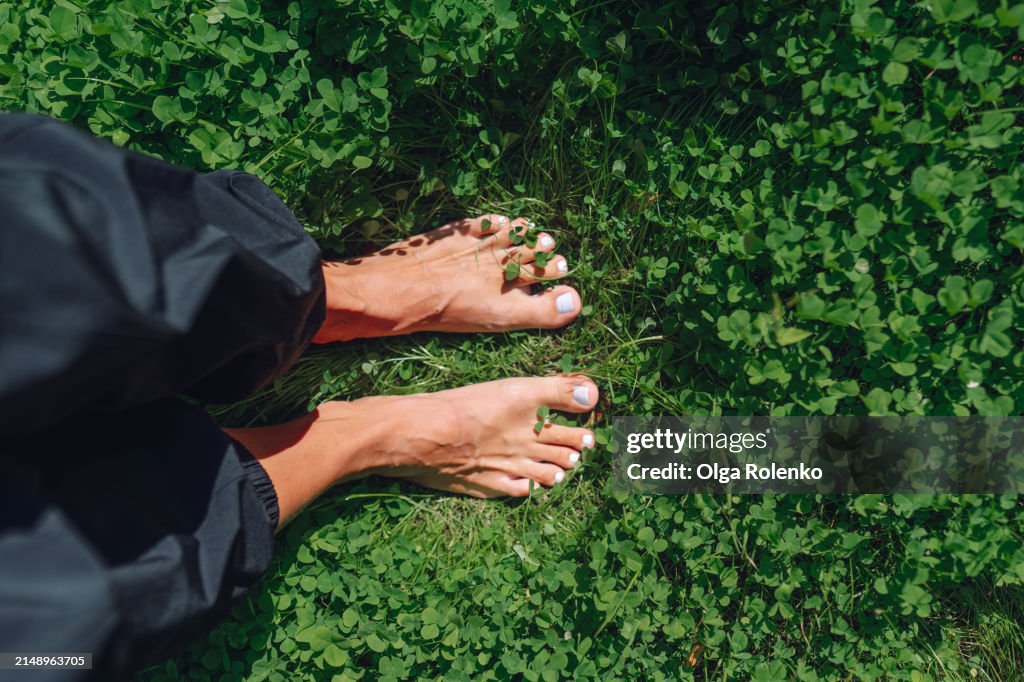 Eco lawn. Bare feet of woman walking on green clover leaves