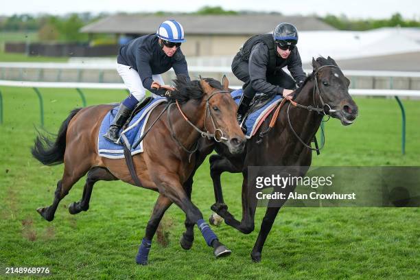 Jim Crowley riding Alyanaabi in a gallop before racing at Newmarket Racecourse on April 17, 2024 in Newmarket, England.
