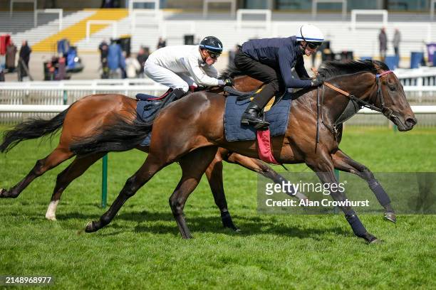Daniel Tudhope riding Night Raider in the gallop before racing at Newmarket Racecourse on April 17, 2024 in Newmarket, England.