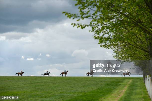 Runners return after The Weatherbys Global Stallions App Handicap at Newmarket Racecourse on April 17, 2024 in Newmarket, England.