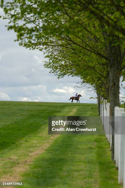 Sean Levey riding Dark Thirty return after winning The Weatherbys Global Stallions App Handicap at Newmarket Racecourse on April 17, 2024 in...