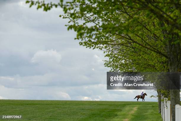 Sean Levey riding Dark Thirty return after winning The Weatherbys Global Stallions App Handicap at Newmarket Racecourse on April 17, 2024 in...