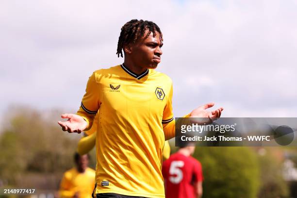 Conor McLeod of Wolverhampton Wanderers celebrates after scoring his team's first goal during the U18 Premier League North match between...