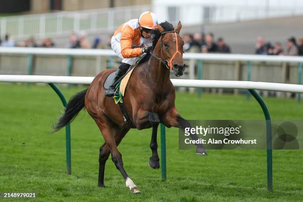 Sean Levey riding Jayarebe win The bet365 Feilden Stakes at Newmarket Racecourse on April 17, 2024 in Newmarket, England.