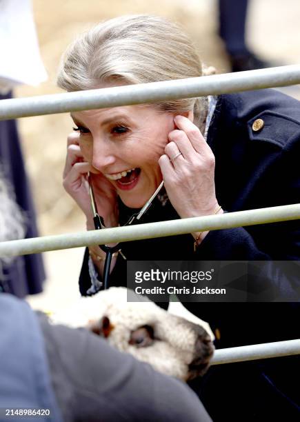 Sophie, Duchess Of Edinburgh listens to the heartbeat of a baby lamb as she attends the Field to Food Learning Day at the Bath and West Show Ground...