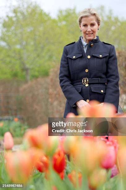 Sophie, Duchess Of Edinburgh views flowers during her visit to Yeo Valley Farm on April 17, 2024 in Blagdon, England.