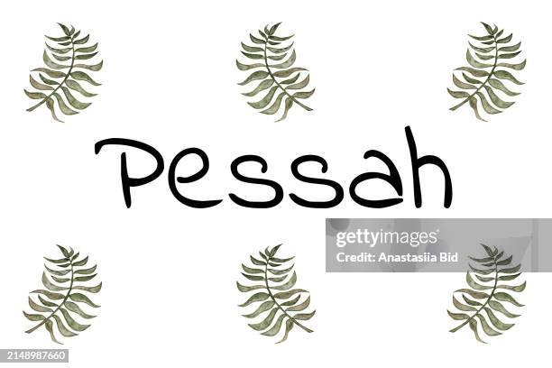 hand drawing branches with word pessah.concept of celebrating passover. - kosher symbol clip art stock pictures, royalty-free photos & images