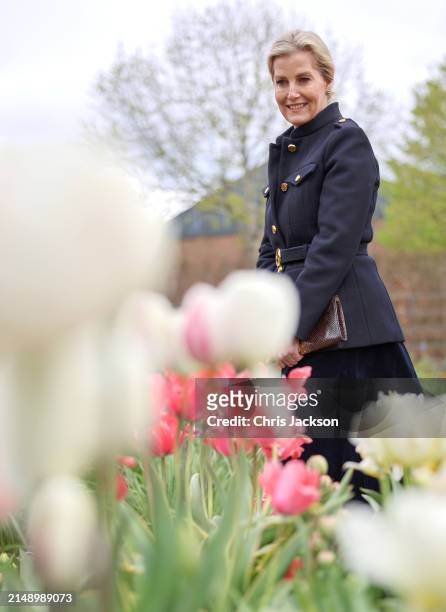Sophie, Duchess Of Edinburgh views flowers during her visit to Yeo Valley Farm on April 17, 2024 in Blagdon, England.