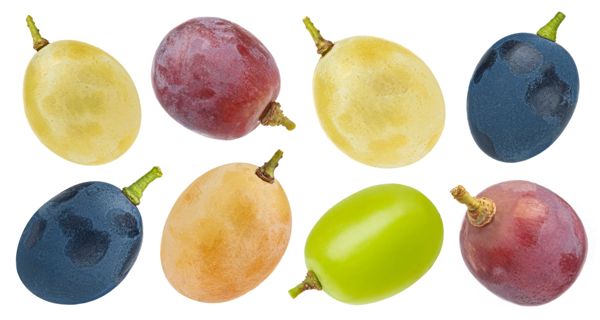 grape varieties