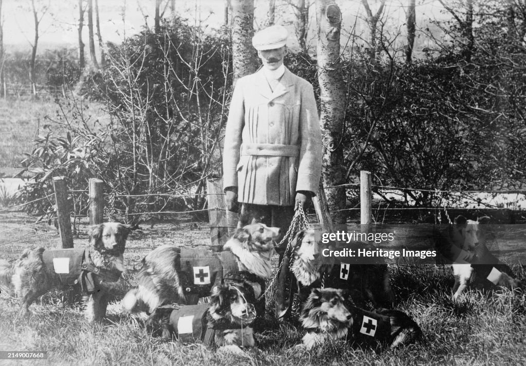 Maj. Richardson & British Red Cross Dogs