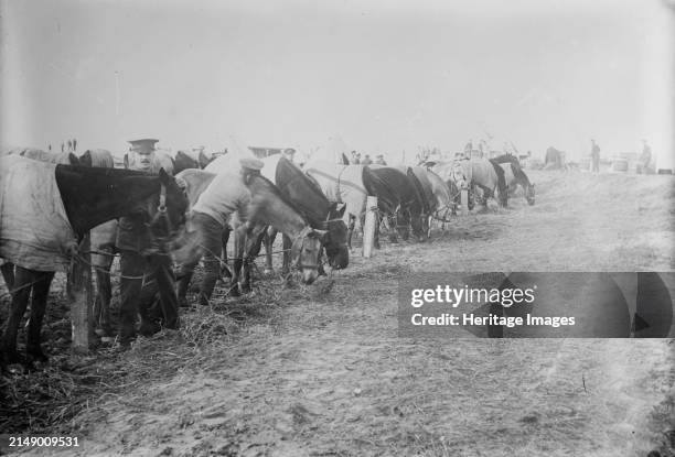 British at Etaples, Feb. 1915 . British soldiers and horses at E´taples, France during World War I. Creator: Bain News Service.