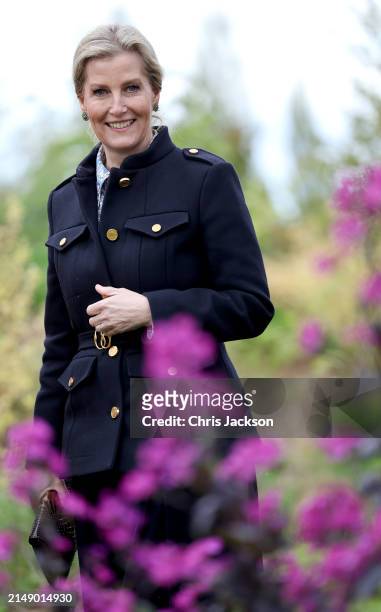 Sophie, Duchess Of Edinburgh smiles amongst flowers during her visit to Yeo Valley Farm on April 17, 2024 in Blagdon, England.