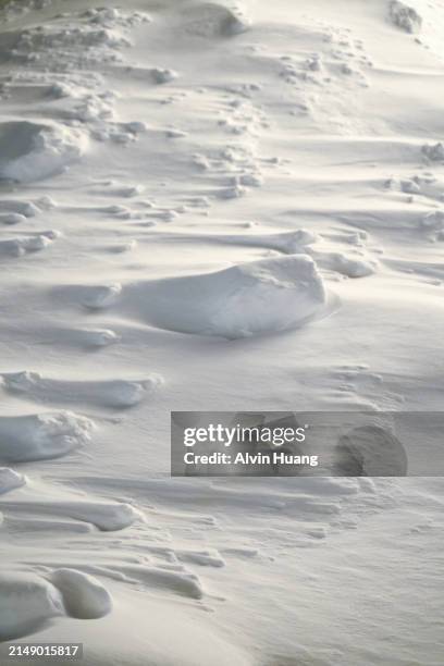 the pure white snow accumulates on the ground, forming unique textures under the strong wind, resembling the grain of rock surfaces. - iwate prefecture stock pictures, royalty-free photos & images