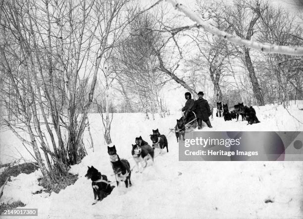 Dog sled expedition in the forest, 1910-1929. From an album containing 296 works offering a glimpse of life in the Russian Far Northeast in the first...