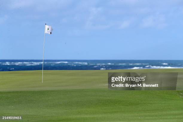 Detail of the pin flag on the eighth green prior to the Corales Puntacana Championship at Puntacana Resort & Club, Corales Golf Course on April 17,...