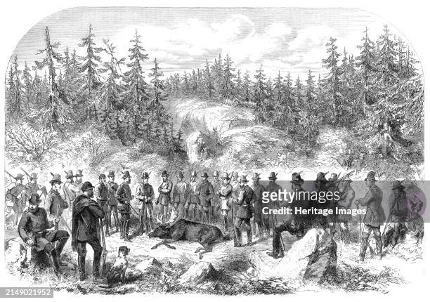 Visit of the Prince and Princess of Wales to Sweden: elk-shooting in the Forest of Högtorp - from a sketch by our special artist, 1864. The future...