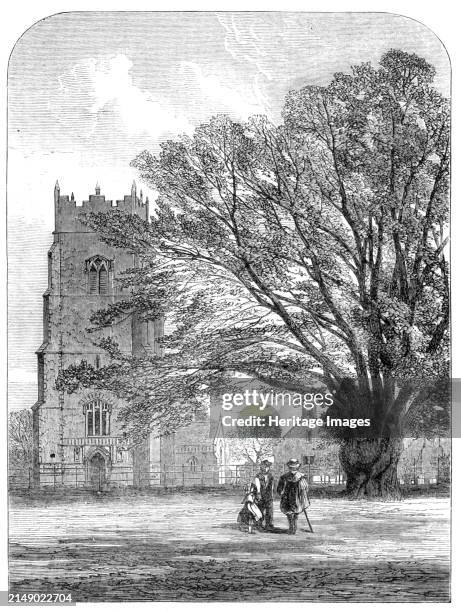 Helmingham Church, Suffolk, 1864. '...the present Rector, [Rev. George Cardew] fancying he could perceive everywhere traces of very early occupation,...