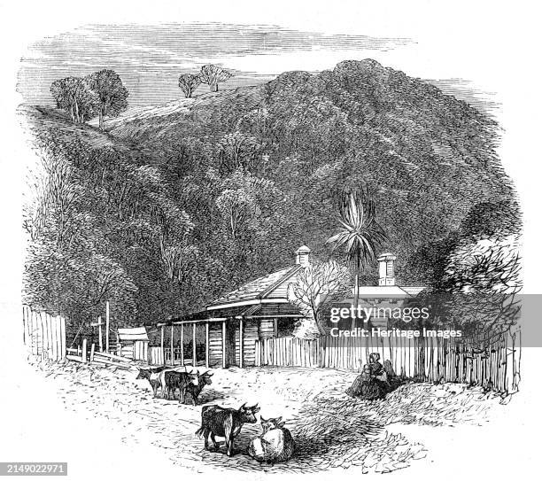 Views at the Seat of the War in New Zealand: settler's house at Waikato, 1864. Engraving from a photograph by Mr. A.E. Smith. 'The settler's house is...