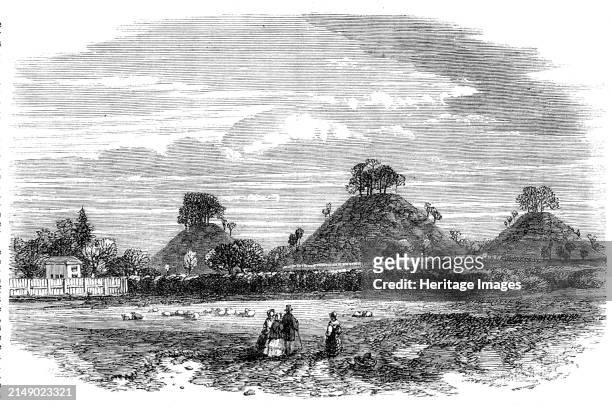 The Bartlow Hills , Essex, 1864. Engraving from a photograph by Mr. G. Collins, of '...four tumuli, arranged in a row and varying in size, the...