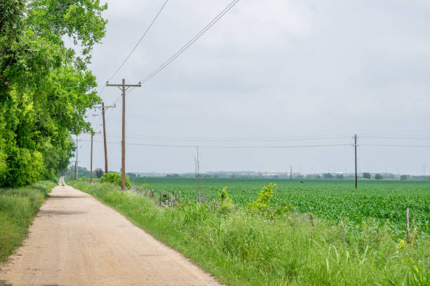 TX: Above-Average Temperatures In Texas Put Strain On Power Grid