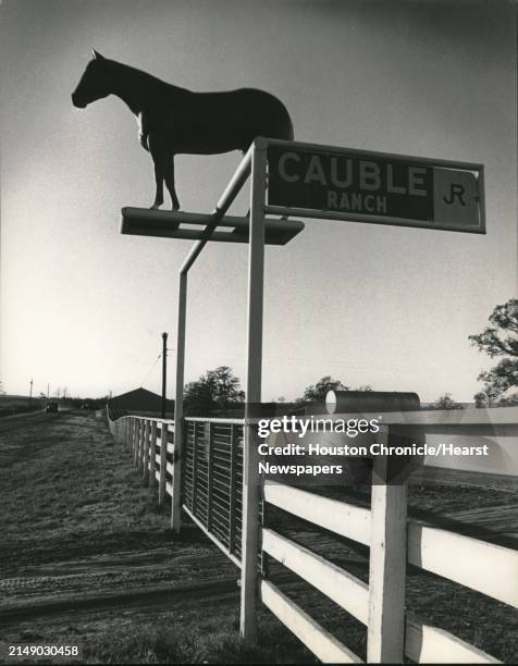 97 Rex Cauble Stock Photos, High-Res Pictures, and Images - Getty Images