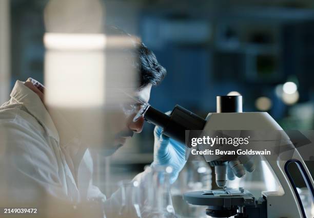 arzt, mikroskop und analyse im labor für medizinische studien, wissenschaftliche innovation und stammzellenforschung. indischer mensch, untersuchung und experiment mit biotechnologie für dna, untersuchung oder test für bakterien - mikroskop stock-fotos und bilder