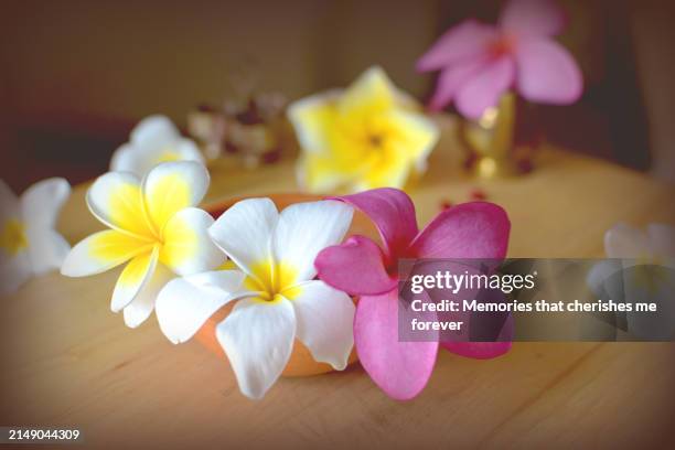 spa - japanese lantern stock pictures, royalty-free photos & images