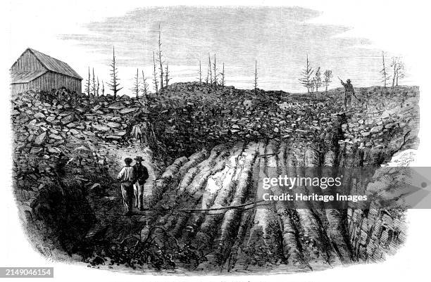 Nova Scotian Goldfields: horizontal formation of auriferous quartz at Laidlaw's Farm, [Canada], 1862. Engraving of a photograph by Captain W. D....