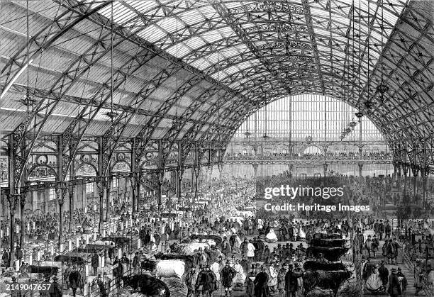 The Smithfield Club Cattle Show at the new Agricultural Hall, Islington, [London], 1862. 'The interior of the building has more than answered all the...