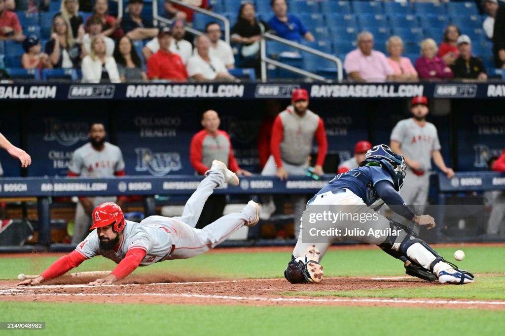 Los Angeles Angels v Tampa Bay Rays