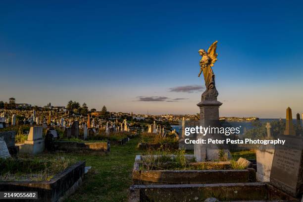 waverley cemetery - gravestone stock pictures, royalty-free photos & images
